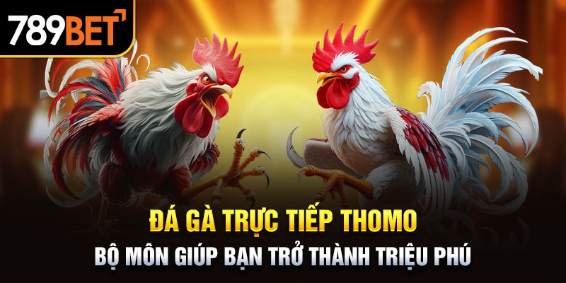 Đá Gà Trực Tiếp Thomo