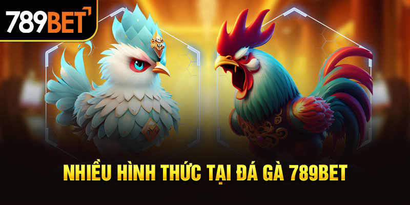 Nhiều hình thức tại đá gà 789BET