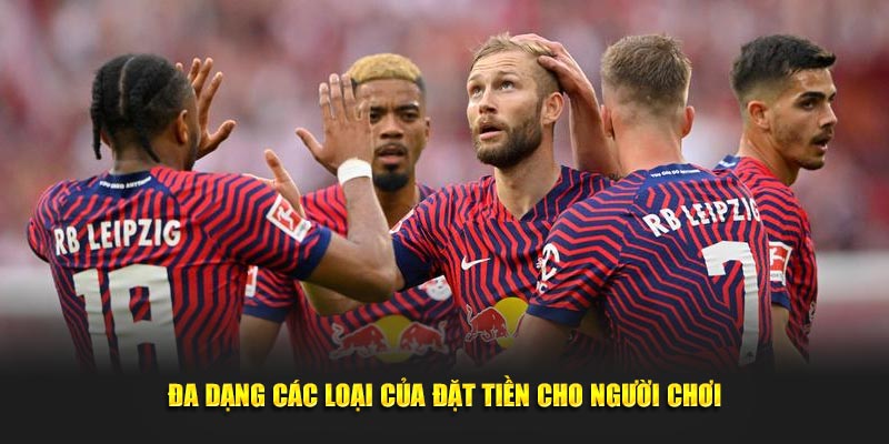 Đa dạng các loại cửa đặt tiền cho người chơi