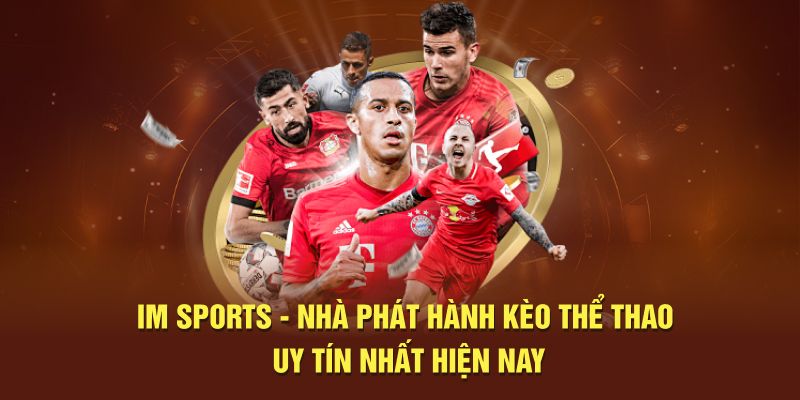 IM Sports có lịch sử thành lập lâu năm 